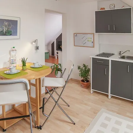 Apartman Comfortable Attic In Near Forest *
